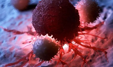 2040 तक कैंसर बनेगा और बड़ा खतरा, हर दो मिनट में एक नई ज़िंदगी पर वार!