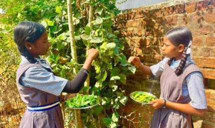 विद्यालय की बगिया से बच्चों की थाली तक पहुँच रहा ताजा और पौष्टिक आहार