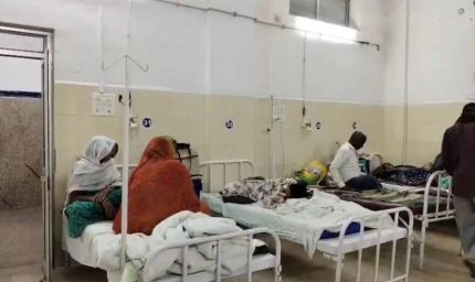 पन्ना में देसी नुस्खा पड़ा भारी, दर्द भगाने के लिए पिया धतूरे का काढ़ा; एक ही परिवार के 3 लोग अस्पताल में भर्ती