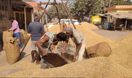 धान खरीद में छत्तीसगढ़ का 'डेटा-संचालित मॉडल', एआई तकनीक से बनी मिसाल