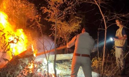 होली के दिन भी वनों की सुरक्षा में जुटे रहे वनकर्मी