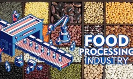 MP में किसान शुरू कर सकते हैं दाल प्रसंस्करण व पैकेजिंग इकाई, 25 लाख के लोन पर मिलेगी 33% सब्सिडी