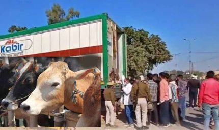 बीफ कांड में 56 दिन बाद कोर्ट में चालान पेश, कंटेनर में गौमांस की SIT ने की पुष्टि