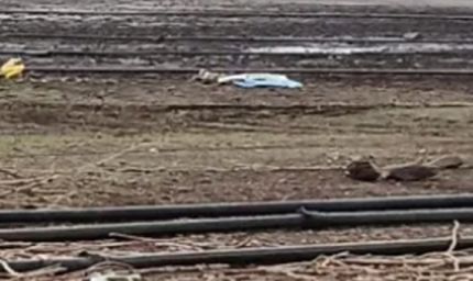 भालीवाड़ा जलाशय में मोटरों का अंधाधुंध इस्तेमाल, तेजी से गिर रहा पानी का स्तर