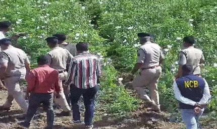 4 साल से 5 एकड़ में अफीम की खेती, दुर्ग फार्महाउस में बाउंसर्स तैनात; भाजपा नेता ने डिजिटल सर्वे में गेहूं-मक्का दिखाया