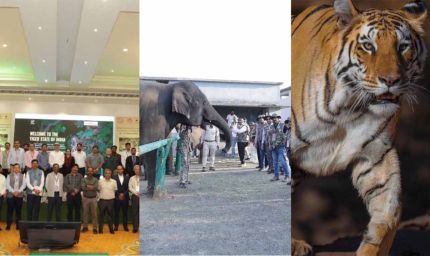 पन्ना में MP का पहला वन्यजीव-केंद्रित CSR कॉन्क्लेव, संरक्षण के लिए वन विभाग-उद्योग जगत साथ आए