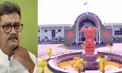 शून्यकाल में उठा दुर्ग में अफीम खेती का मुद्दा, विपक्ष ने कहा – ‘धान का कटोरा’ बन रहा ‘अफीम का कटोरा’