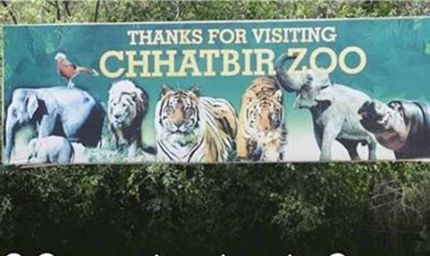 छतबीड़ चिड़ियाघर में सख्ती: पर्यटकों के लिए नए नियम लागू, जंगलात विभाग का बड़ा फैसला