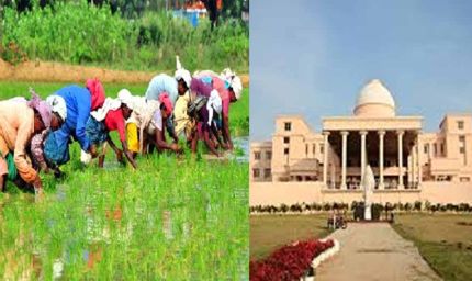 16 लाख किसानों ने किया रकबा समर्पण, विधानसभा में मंत्री बघेल ने दी जानकारी