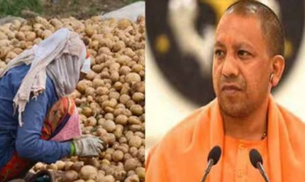 किसानों से ₹1500 प्रति क्विंटल होगी आलू खरीदी!, सीएम योगी से MSP दरें तय करने पर की चर्चा