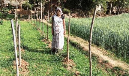 मेहनत से लिखी सफलता की कहानी