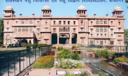 आरएजेयूवीएएस का फैसला; पशुचिकित्सा स्नातक में अब केवल नीट-यूजी से दाखिला होगा