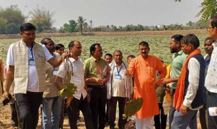 मध्यप्रदेश के किसानों का ग्राम लिंगाडीह आरंग में मखाना खेती भ्रमण एवं प्रशिक्षण संपन्न