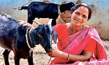 मंईयां सम्मान योजना से 67,752 महिलाएं बनीं आत्मनिर्भर, झारखंड में हर महीने मिल रहे ₹2500