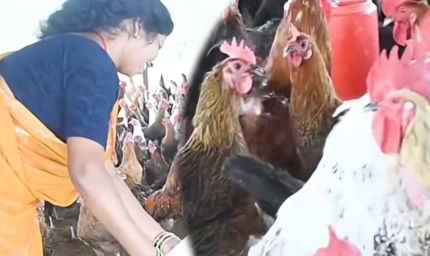 धमतरी : आजीविका मिशन से बदली तस्वीर: चर्रा की योगेश्वरी देवांगन बनीं महिला सशक्तिकरण की प्रेरणा