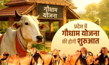 मुख्यमंत्री विष्णु देव साय 14 मार्च को बिलासपुर से करेंगे “गौधाम योजना” का शुभारंभ