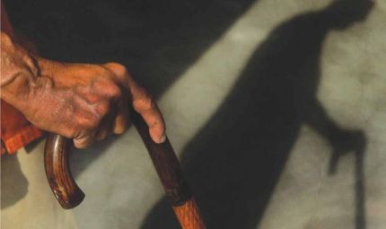 हाईकोर्ट का अनोखा आदेश: 73 साल के बुजुर्ग की सजा निलंबित, 20 पौधे लगाकर एक साल देखभाल की शर्त