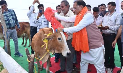 राज्य में गोधन संरक्षण को नई दिशा : गोमाता की पूजा-अर्चना कर CM साय ने ग्राम लाखासार में गौधाम का किया शुभारंभ