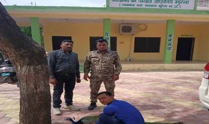 मुरैना के डायल 112 हीरोज: संवेदनशीलता का उदाहरण, घायल राष्ट्रीय पक्षी मोर को समय पर मिला उपचार