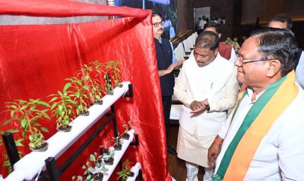 वन आधारित अर्थव्यवस्था को मजबूत करने पर दें जोर: वन मंत्री  कश्यप