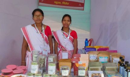 आदि परब में जशप्योर स्टॉल की धूम: महुआ को मिला सुपरफूड का दर्जा