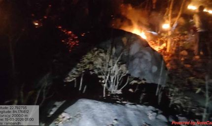 वन विभाग की तत्परता से टली बड़ी वन क्षति