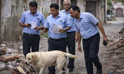 MP में अजीब मामला: छुट्टी लेकर 8 दिन तक कुत्ता खोजते रहे भेल कर्मचारी, अफसरों को पड़ा भारी पंगा