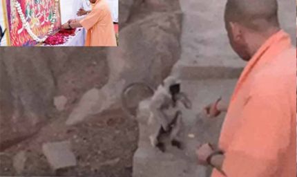 जालोर में योगी आदित्यनाथ का आध्यात्मिक शंखनाद: जौहर को बताया आत्मसम्मान का प्रतीक