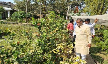 शासकीय नर्सरियों को बनाया जायेगा आदर्श नर्सरी : मंत्री  कुशवाह
