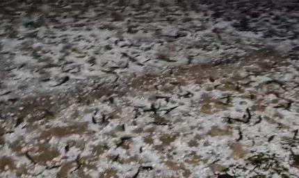 राजस्थान और MP में बारिश और ओले , हरियाणा में बारिश से सड़कों पर पानी,UK के गंगोत्री धाम में बर्फबारी