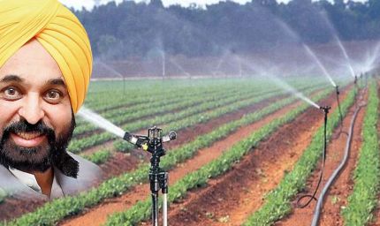पंजाब में नहर सिंचाई बढ़कर 78 प्रतिशत हुई, सीएम भगवंत मान का बड़ा बयान