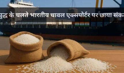MP से बासमती का निर्यात ठप, समुद्र में फंसा चावल, किसानों और व्यापारियों की बढ़ी चिंता