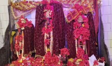 मां बिरासिनी धाम बिलासपुर में मातारानी के दर्शन के लिए दर्शनार्थियों की लगी भीड़