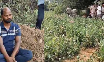 रायगढ़ में अफीम की अवैध खेती का भंडाफोड़, झारखंड का आरोपी पुलिस हिरासत में