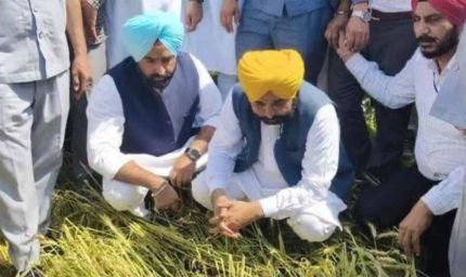 “किसान कोई प्रयोगशाला नहीं”: CM मान की सख्त टिप्पणी, पहले खुद परीक्षण करने की सलाह