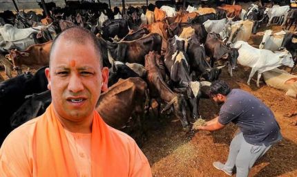 योगी सरकार की ‘नन्दिनी कृषक समृद्धि योजना’ से डेयरी सेक्टर में आ रही नई क्रांति