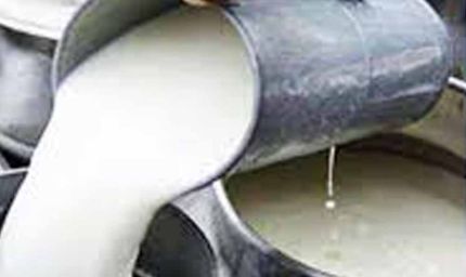 आंध्र प्रदेश में मिलावटी दूध का कहर जारी: अब तक 16 मौतें, 3 की हालत गंभीर