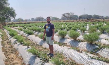 रासायनिक उर्वरकों का कम उपयोग और प्राकृतिक व जैविक खेती को कर रहें प्रोत्साहित