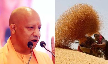 योगी सरकार ने बढ़ाई गेहूं की MSP, 6500 केंद्रों पर कब से शुरू होगी खरीद?