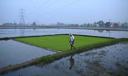 युद्ध का सीधा असर खेती पर: कीटनाशक 30% महंगे, किसानों की लागत बढ़ने की आशंका