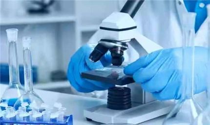 रेडक्रॉस का बड़ा कदम: हरियाणा में खुलेगी क्लीनिकल लैब, सस्ती जांच के साथ बच्चों के विकास पर फोकस