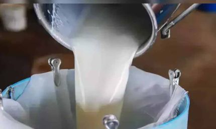 31 जिलों की महिलाओं ने किया पांच हजार करोड़ का दूध का कारोबार