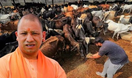 जर्मन टेक्नोलॉजी से लैस होंगी प्रदेश की गोशालाएं