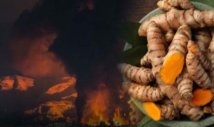 ईरान जंग का असर: हल्दी के दाम ₹3,500 प्रति क्विंटल घटे, किसानों में चिंता