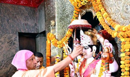 स्वदेशी गो-संवर्धन योजना में तेज प्रगति पर फोकस, सभी जिलों में बढ़ी रफ्तार