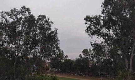 पंजाब में धूल भरी आंधी का अलर्ट: मौसम बदलेगा, 3 दिन के लिए यलो वार्निंग जारी