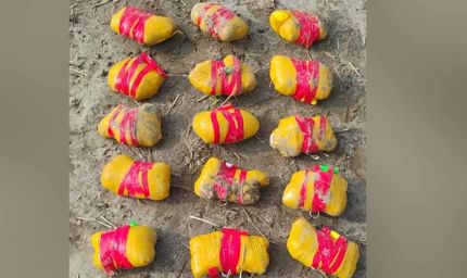 पंजाब में ड्रग्स की बड़ी खेप का खुलासा: पाकिस्तान से आई 1.16 लाख किलो, एंटी-ड्रोन से तस्करों पर वार