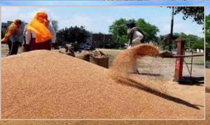 गेहूं खरीद को लेकर अनाज मंडियां तैयार: किसानों को समय पर भुगतान का भरोसा