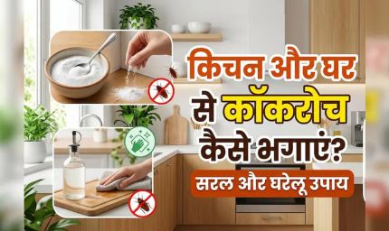कॉकरोच भगाने के सबसे असरदार घरेलू उपाय