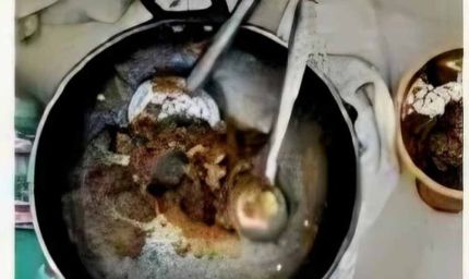 बिलासपुर जंगल रिसॉर्ट में छापा: हिरण का मांस पकाते मैनेजर समेत 4 गिरफ्तार